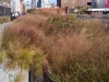 Highline Park