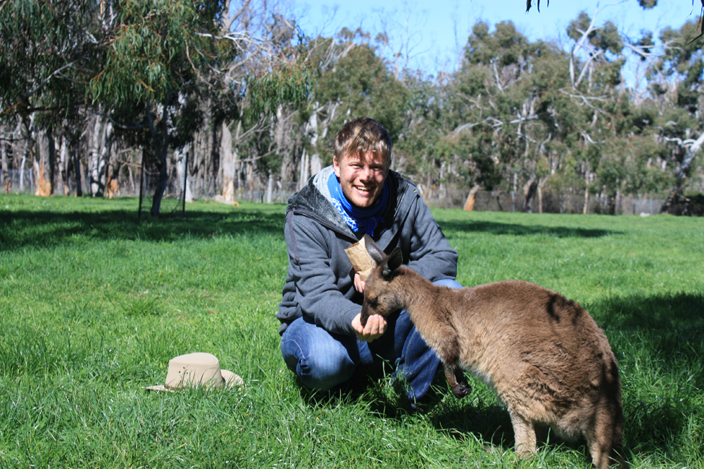 Petting kangoroos
